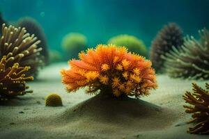 photo wallpaper sea, coral, the sea, the sea, the sea, the sea, the. AI-Generated