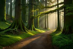 a path through a forest with trees and sunbeams. AI-Generated photo
