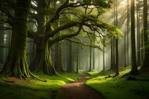 un camino mediante un bosque con arboles y luz de sol. generado por ai foto