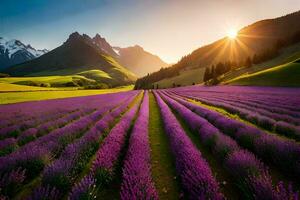 the sun rises over lavender fields in the mountains. AI-Generated photo