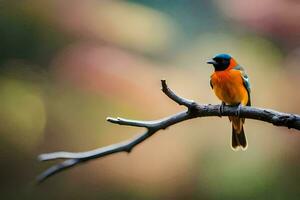 un vistoso pájaro se sienta en un rama. generado por ai foto