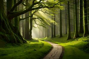 a path through a green forest with trees and sun. AI-Generated photo