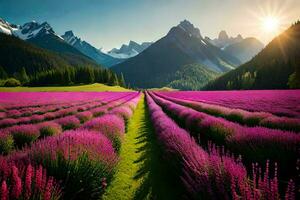 foto fondo de pantalla montañas, flores, flores, flores, lavanda, lavanda campo, lavanda. generado por ai