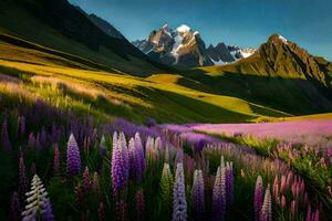 the lupine flowers are blooming in the mountains. AI-Generated photo