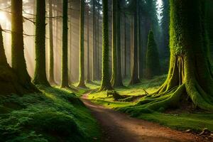 un camino mediante un bosque con arboles y musgo. generado por ai foto