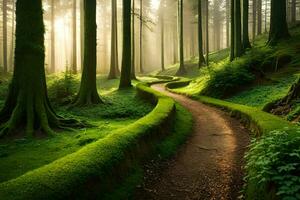 a path through a green forest with trees and moss. AI-Generated photo