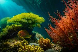 photo wallpaper sea, coral, fish, coral reef, underwater, underwater, underwater, underwater,. AI-Generated