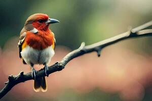 un rojo y blanco pájaro sentado en un rama. generado por ai foto