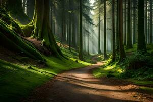 a path through a forest with trees and moss. AI-Generated photo