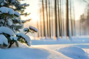 snow covered trees and pine trees in the sun. AI-Generated photo