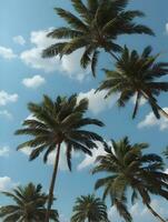 verde Coco palma arboles debajo azul cielo con nubes ai generado foto