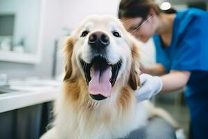 dog at a veterinarian's appointment in a modern veterinary clinic. AI Generative photo
