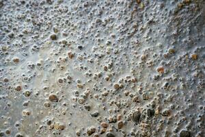 textured background of a wet seashore with gray pebbles. abstract background. photo