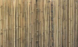 Old bamboo plank fence texture material construction for background. photo