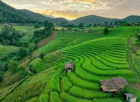Landscape of green rice terraces amidst mountain agriculture. Travel destinations in Chiangmai, Thailand. Terraced rice fields. Traditional farming. Asian food. Thailand tourism. Nature landscape. photo