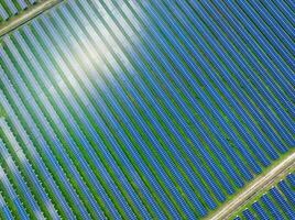 Aerial view of solar farm. Solar power for green energy. Sustainable resources. Solar cell panels use sun light as a source to generate electricity. Photovoltaics or PV. Sustainable renewable energy. photo