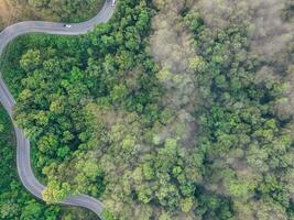 Aerial top view of green forest and highway road. Drone view of green trees and morning fog. Green trees background for carbon neutrality and net zero emissions concept. Sustainable green environment. photo