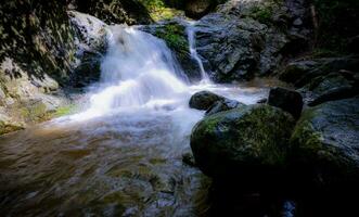 Waterfall is flowing in jungle. Waterfall in green forest. Mountain waterfall. Cascading stream in lush forest. Nature background. Rock or stone at waterfall. Water sustainability. Water conservation. photo