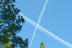 Intersecting two tracks in the blue sky from the plane on the background of a pine tree. photo