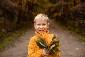 A small blond boy in an orange sweater holds a bouquet yellow fallen leaves and smiles widely. Walk in the autumn park. photo