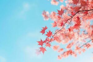 Red maple leaves on top of tree on blue sky background. Abstract fall season nature background AI Generative photo