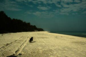 Baltick Sea landscape photo