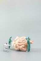 Miniature Doctor checking and analysis small intestine model , Science and medicine concept photo