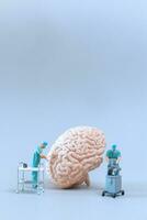 miniatura médico comprobación y análisis cerebro modelo en blanco fondo, Ciencias y medicina concepto foto