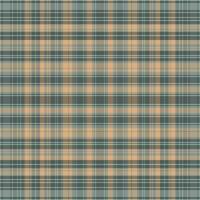 Tartan plaid pattern with texture and nature color. vector