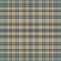 Tartan plaid pattern with texture and nature color. vector