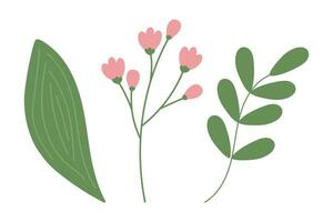 Set 3 isolated design elements of flowering branch, twig with small leaves and spathiphyllum leaf vector