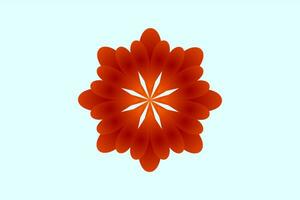 beautiful flower shape, beautiful floral color vector