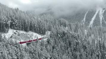 Aerial video of famous train of red color Glacier Express at winter, The train moves in the forest among trees, landmark of Switzerland, drone doesn't move