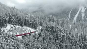 Aerial video of famous train of red color Glacier Express at winter, The train moves in the forest among trees, landmark of Switzerland, drone doesn't move