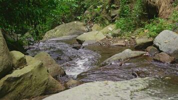 Water fall on the tropical forest, water stream and splash water when rainy season.  The footage is suitable to use for adventure content media, nature and forest footage background. video