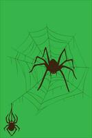 Spider web set isolated on green background. Scary Halloween spider web with spiders. Outline vector illustration