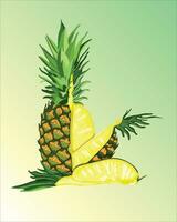 3d realistic isolated pineapple, pineapple, pineapple slices and pieces with halves vector