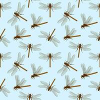 Vector seamless pattern with dragonflies. Creative texture for fabric, wrapping, textile, wallpaper, apparel. Summer Dragonflies in the sky. Simple minimalistic print with dragonfly insects. Vector