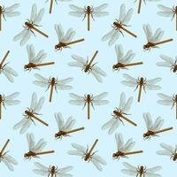 Vector seamless pattern with dragonflies. Creative texture for fabric, wrapping, textile, wallpaper, apparel. Summer Dragonflies in the sky. Simple minimalistic print with dragonfly insects. Vector