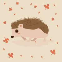 Cute baby Porcupine vector