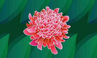 red torch ginger with green background for background design. vector