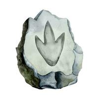 Dinosaur footprint fossil on grey stone. Predator Paw in stone. Realistic watercolor vector illustration