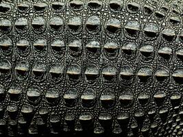 close up crocodile skin background. texture photo