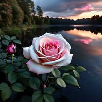 un fascinante Rosa flor desplegarse en frente de río ai generativo foto