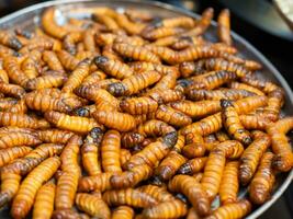 close - up of fried worms in the market photo