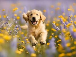 cute dog in the meadow. pet in nature photo