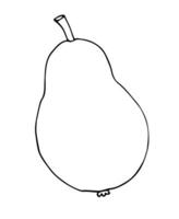 Vector hand drawn sketch doodle pear