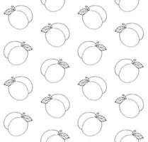 Vector seamless pattern of hand drawn peach