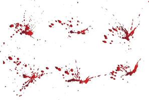 Realistic set of blood splatter vector