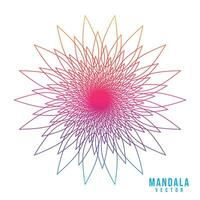 Colorful gradient simple unique mandala design on white background vector
